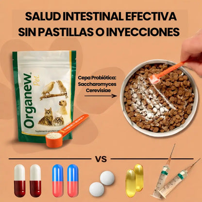 PROBIÓTICO PARA PERROS