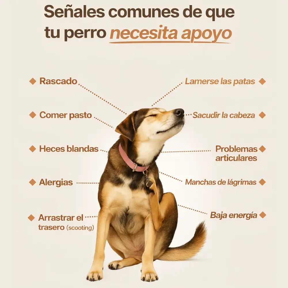PROBIÓTICO PARA PERROS