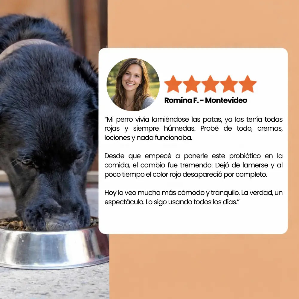 PROBIÓTICO PARA PERROS