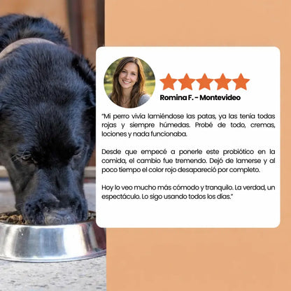 PROBIÓTICO PARA PERROS